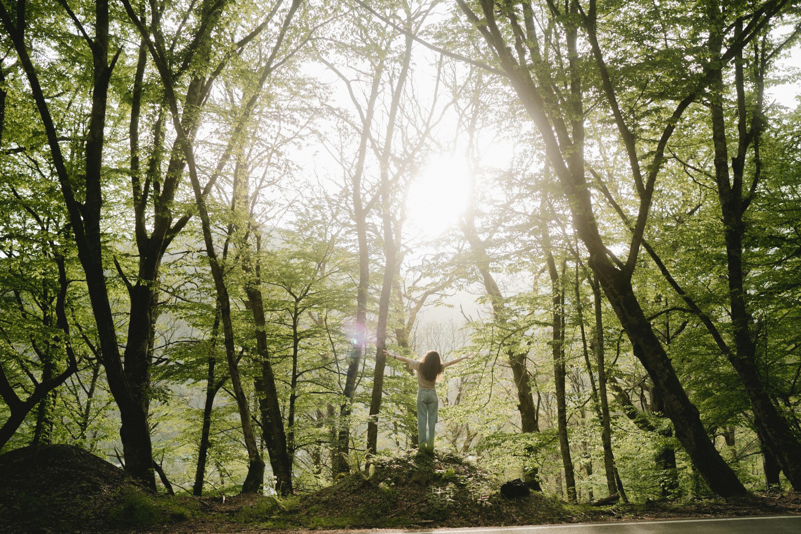 A woman stands with open arms embracing sunlight among tall trees in a lush forest.